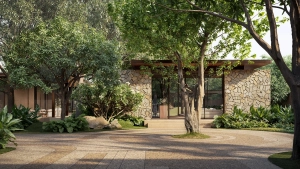 jungle-office-1