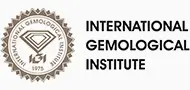 igi-client-logo